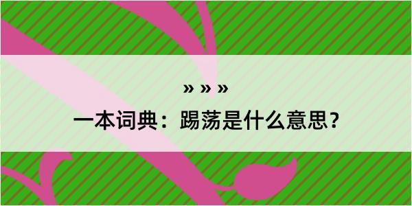 一本词典：踢荡是什么意思？