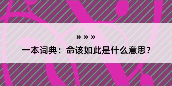 一本词典：命该如此是什么意思？