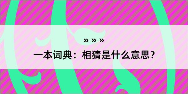 一本词典：相猜是什么意思？