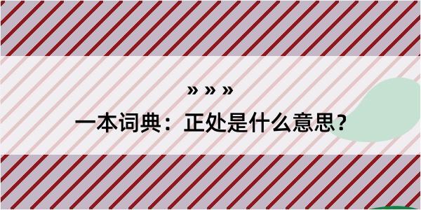 一本词典：正处是什么意思？