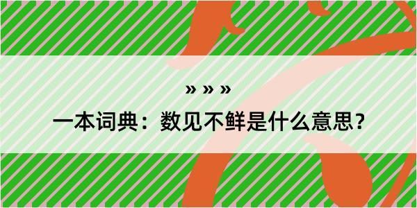 一本词典：数见不鲜是什么意思？