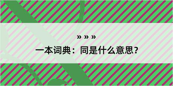 一本词典：同是什么意思？