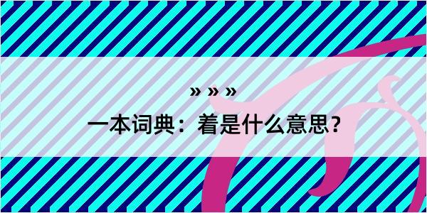 一本词典：着是什么意思？