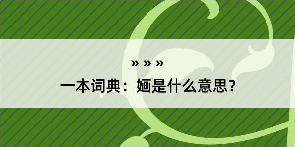 一本词典：婳是什么意思？