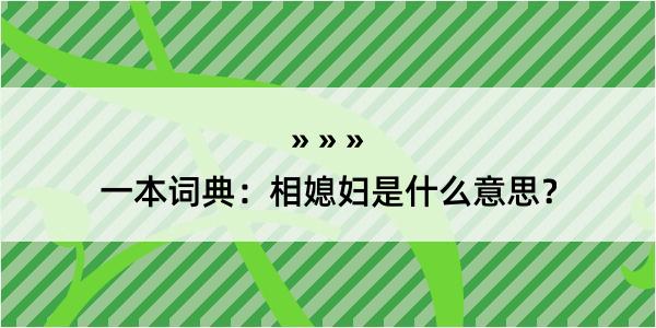 一本词典：相媳妇是什么意思？