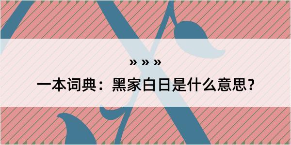 一本词典：黑家白日是什么意思？