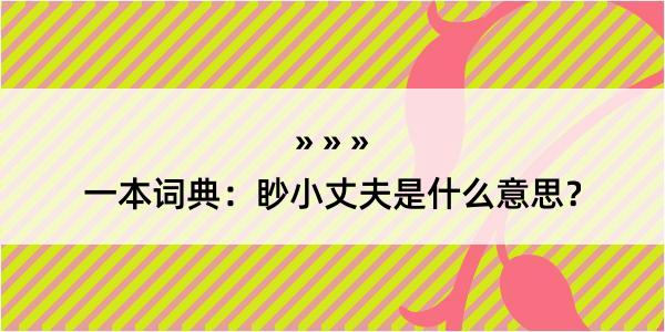 一本词典：眇小丈夫是什么意思？