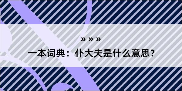 一本词典：仆大夫是什么意思？