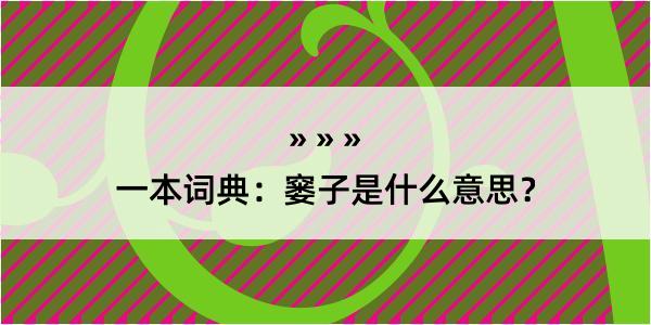 一本词典：窭子是什么意思？