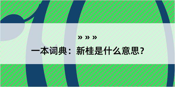 一本词典：新桂是什么意思？