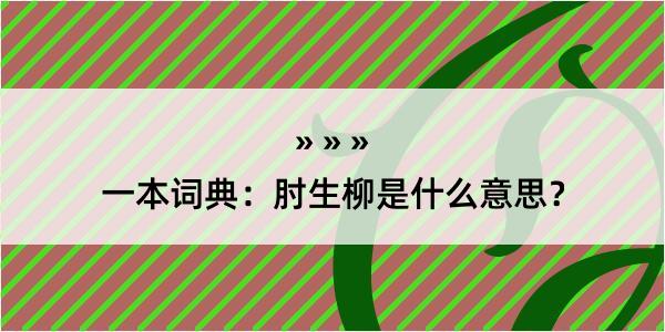 一本词典：肘生柳是什么意思？