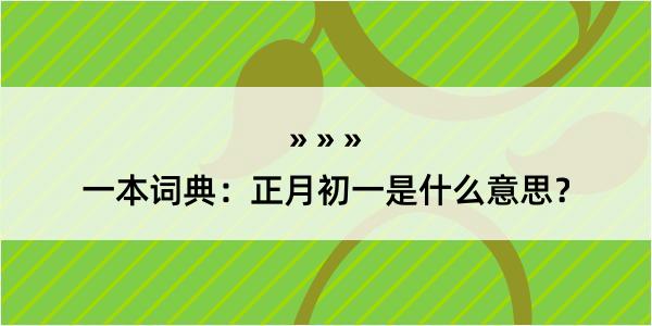 一本词典：正月初一是什么意思？