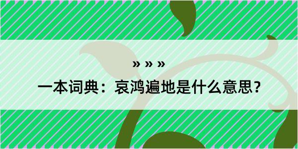 一本词典：哀鸿遍地是什么意思？