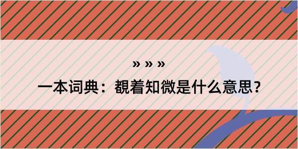 一本词典：覩着知微是什么意思？