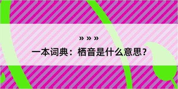 一本词典：栖音是什么意思？