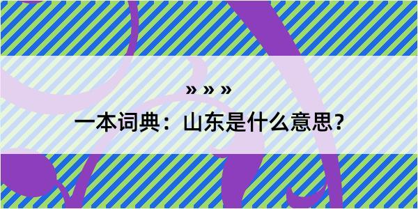 一本词典：山东是什么意思？