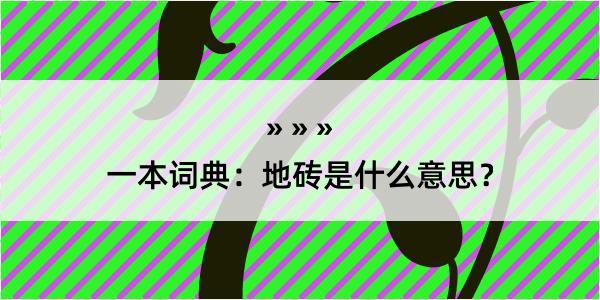 一本词典：地砖是什么意思？