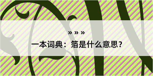 一本词典：箔是什么意思？