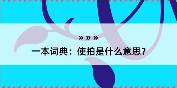 一本词典：使拍是什么意思？