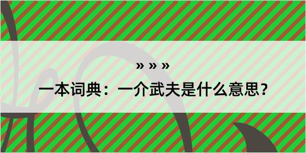 一本词典：一介武夫是什么意思？