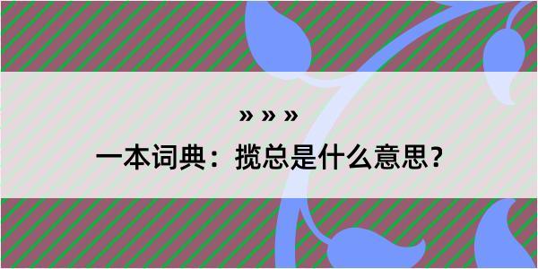 一本词典：揽总是什么意思？