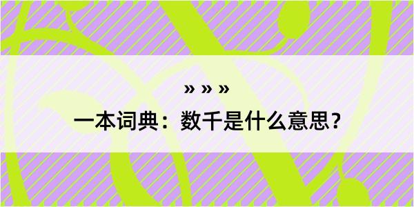 一本词典：数千是什么意思？