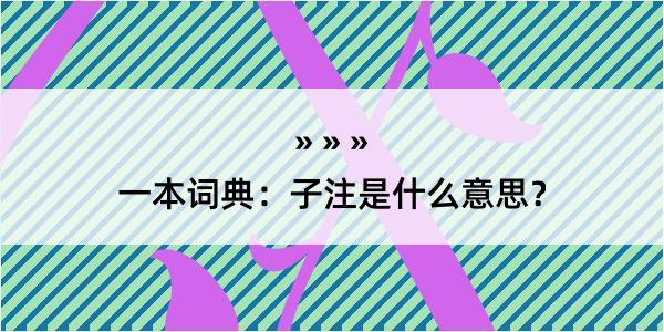 一本词典：子注是什么意思？