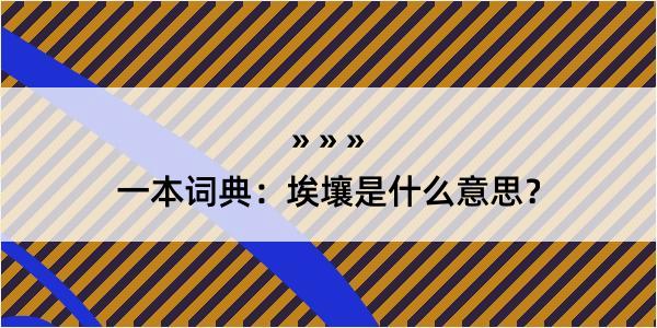 一本词典：埃壤是什么意思？