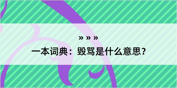 一本词典：毁骂是什么意思？