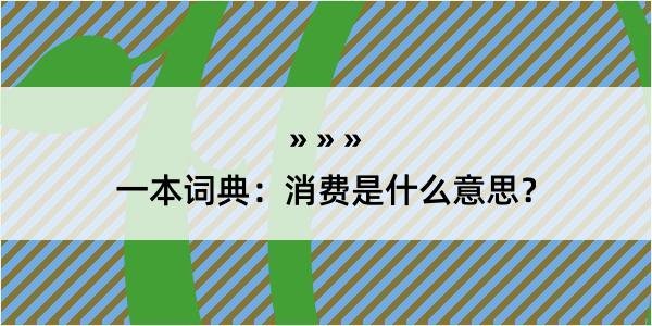 一本词典：消费是什么意思？