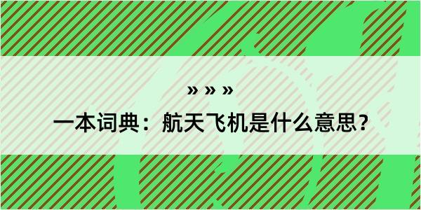 一本词典：航天飞机是什么意思？