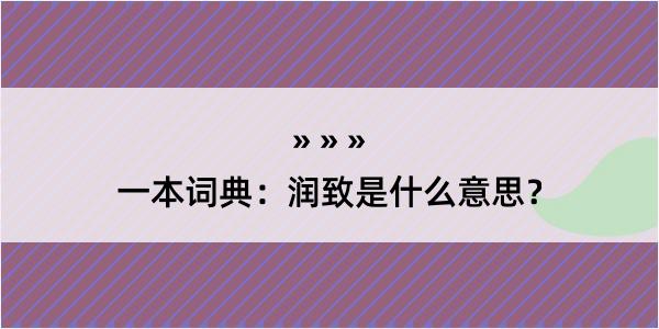 一本词典：润致是什么意思？