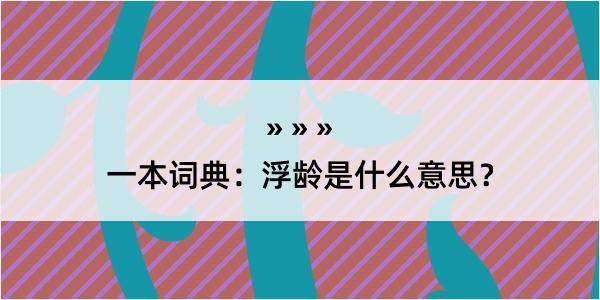 一本词典：浮龄是什么意思？