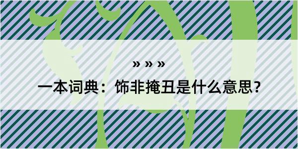 一本词典：饰非掩丑是什么意思？