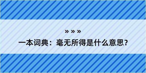 一本词典：毫无所得是什么意思？