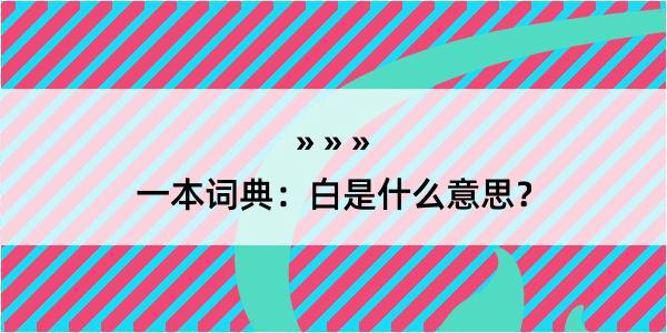 一本词典：白是什么意思？