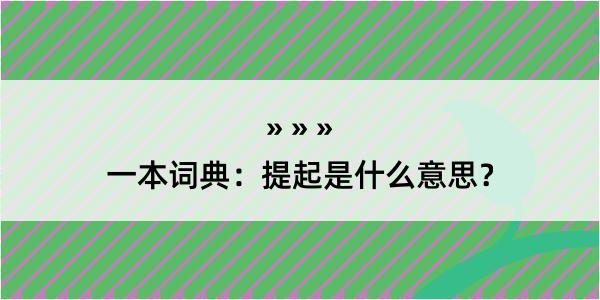 一本词典：提起是什么意思？