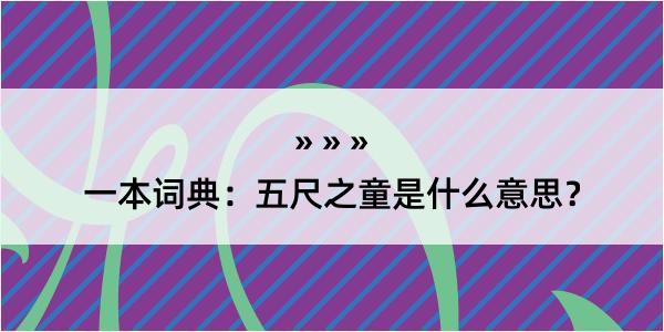 一本词典：五尺之童是什么意思？