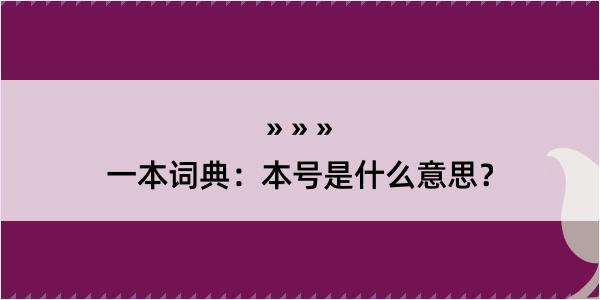 一本词典：本号是什么意思？