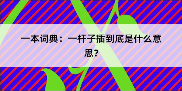 一本词典：一杆子插到底是什么意思？