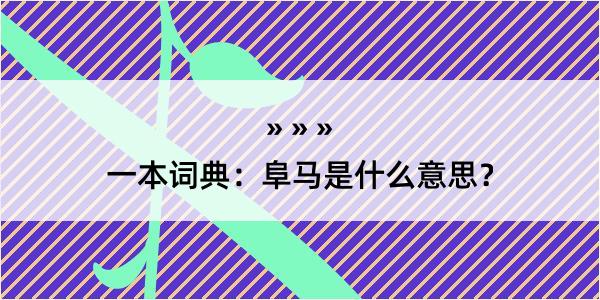 一本词典：阜马是什么意思？