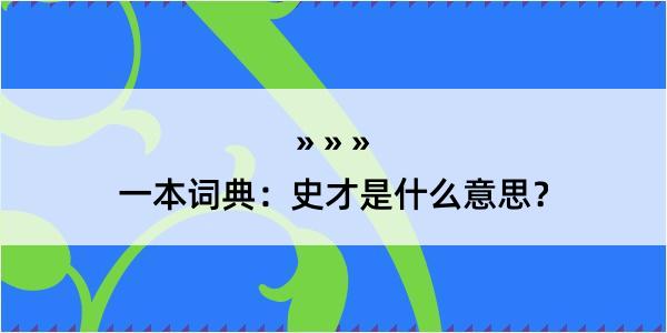 一本词典：史才是什么意思？