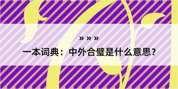 一本词典：中外合璧是什么意思？