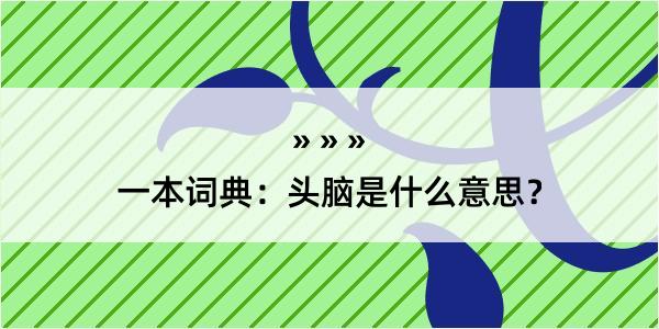 一本词典：头脑是什么意思？