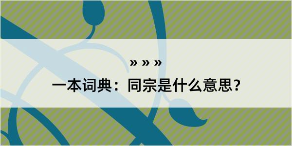 一本词典：同宗是什么意思？