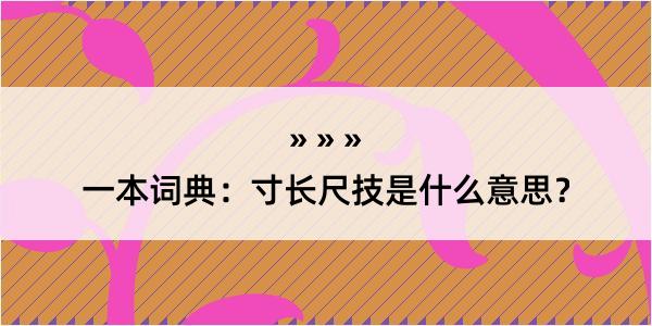 一本词典：寸长尺技是什么意思？