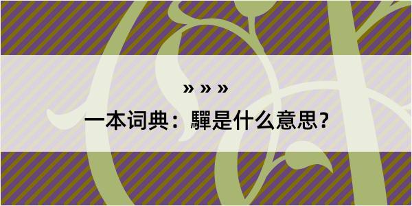 一本词典：驒是什么意思？