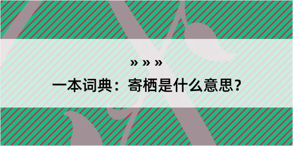 一本词典：寄栖是什么意思？