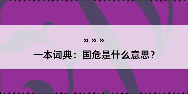 一本词典：国危是什么意思？