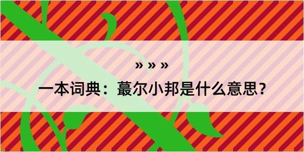 一本词典：蕞尔小邦是什么意思？